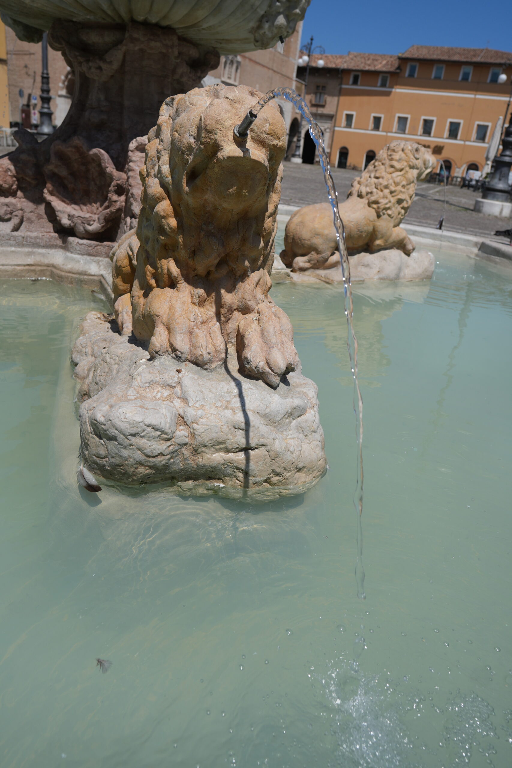 Dettaglio della fontana con i leoni